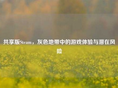 共享版Steam，灰色地带中的游戏体验与潜在风险