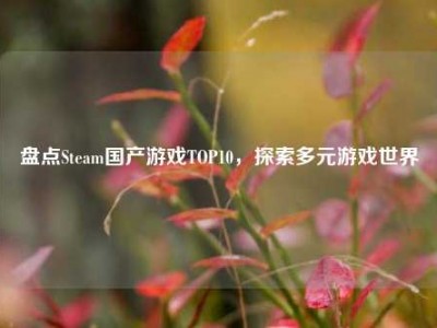 盘点Steam国产游戏TOP10，探索多元游戏世界