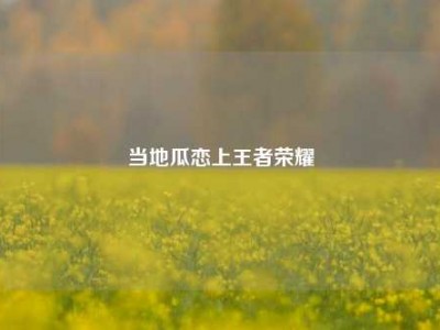 当地瓜恋上王者荣耀