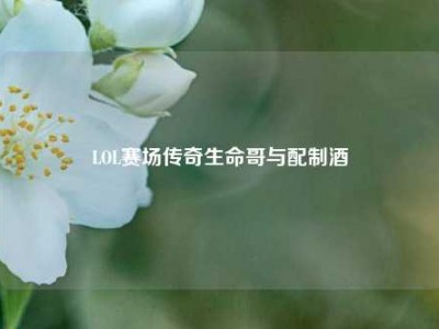 LOL赛场传奇生命哥与配制酒