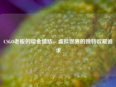 CSGO老板的暗金情结，虚拟世界的独特收藏追求