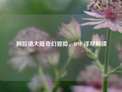 阿拉德大陆奇幻冒险，DNF 详尽解读