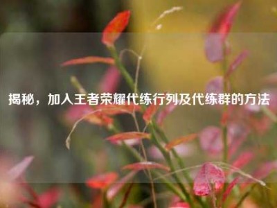 揭秘，加入王者荣耀代练行列及代练群的方法