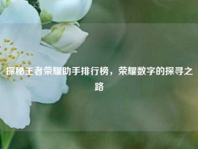 探秘王者荣耀助手排行榜，荣耀数字的探寻之路