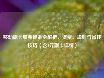 移动副卡收费标准全解析，资费、规则与省钱技巧（含1元副卡详情）
