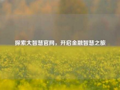 探索大智慧官网，开启金融智慧之旅