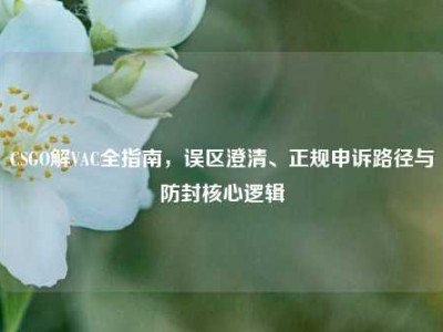CSGO解VAC全指南，误区澄清、正规申诉路径与防封核心逻辑