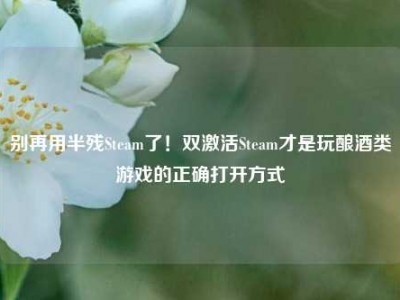 别再用半残Steam了！双激活Steam才是玩酿酒类游戏的正确打开方式
