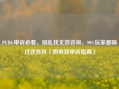 PUBG申诉必看，别乱找无效咨询，90%玩家都踩过这些坑（附有效申诉指南）