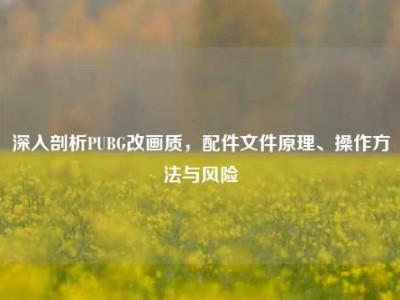 深入剖析PUBG改画质，配件文件原理、操作方法与风险