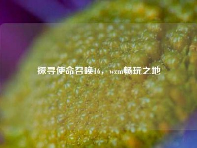探寻使命召唤16，wzm畅玩之地