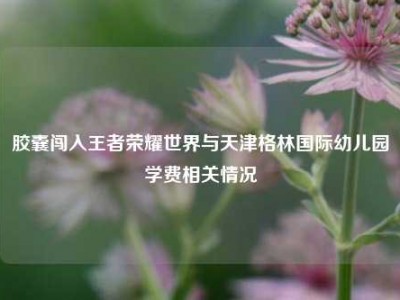 胶囊闯入王者荣耀世界与天津格林国际幼儿园学费相关情况
