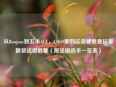 从Bonjour到五杀ACE，CSGO里的法语梗竟是玩家散装法语启蒙（附法国选手一览表）