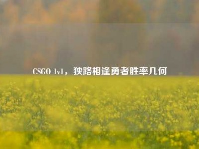 CSGO 1v1，狭路相逢勇者胜率几何