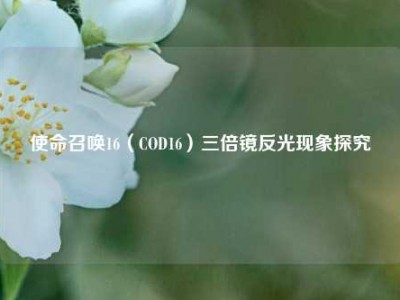 使命召唤16（COD16）三倍镜反光现象探究