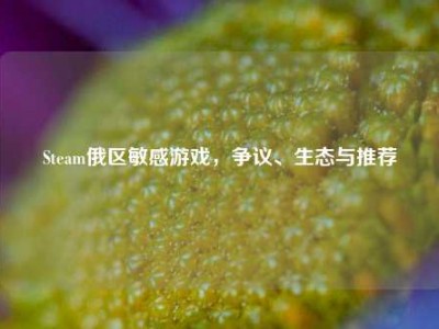 Steam俄区敏感游戏，争议、生态与推荐