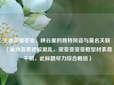 王者荣耀亚亚，峡谷里的独特风姿与莫名关联 （原内容表述较混乱，亚亚亚亚亚框型材表意不明，此标题尽力综合概括）