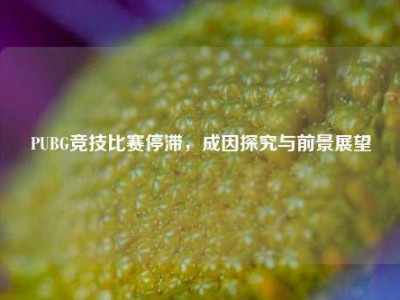 PUBG竞技比赛停滞，成因探究与前景展望
