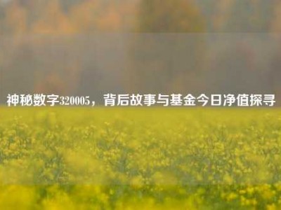 神秘数字320005，背后故事与基金今日净值探寻