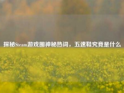 探秘Steam游戏圈神秘热词，五速鞋究竟是什么