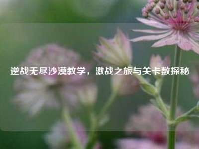 逆战无尽沙漠教学，激战之旅与关卡数探秘