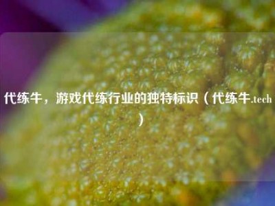 代练牛，游戏代练行业的独特标识（代练牛.tech）