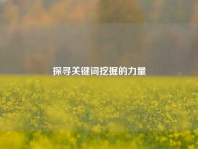 探寻关键词挖掘的力量