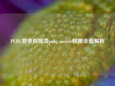 PUBG登录权限及pubg mobile权限全面解析