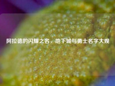 阿拉德的闪耀之名，地下城与勇士名字大观