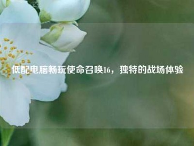 低配电脑畅玩使命召唤16，独特的战场体验