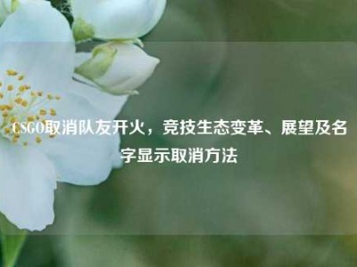 CSGO取消队友开火，竞技生态变革、展望及名字显示取消方法