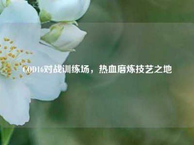 COD16对战训练场，热血磨炼技艺之地