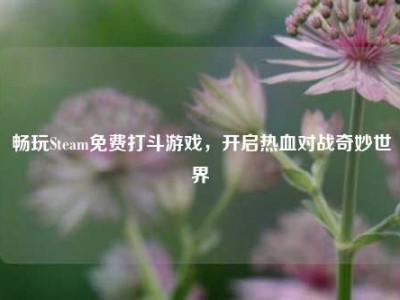 畅玩Steam免费打斗游戏，开启热血对战奇妙世界