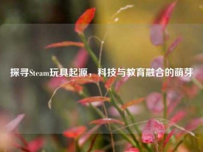 探寻Steam玩具起源，科技与教育融合的萌芽