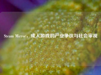 Steam Mirror，成人游戏的产业争议与社会审视
