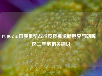 PUBG2 AI画质重塑战术竞技视觉新境界与朝晖一区二手房相关探讨