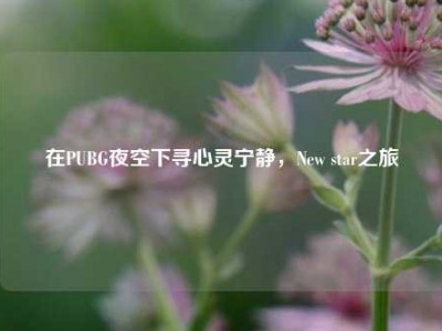 在PUBG夜空下寻心灵宁静，New star之旅