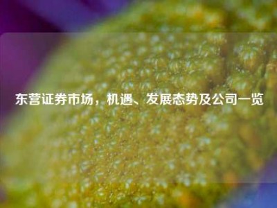 东营证券市场，机遇、发展态势及公司一览
