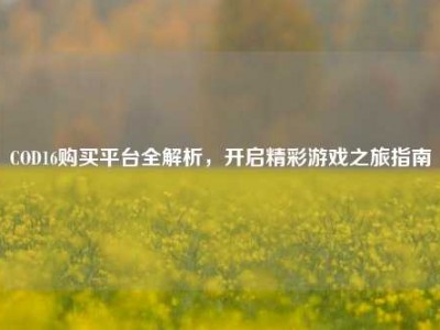 COD16购买平台全解析，开启精彩游戏之旅指南