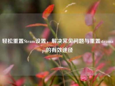 轻松重置Steam设置，解决常见问题与重置steamapi的有效途径