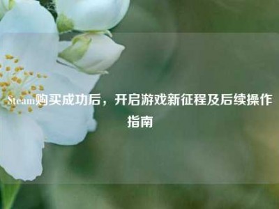 Steam购买成功后，开启游戏新征程及后续操作指南