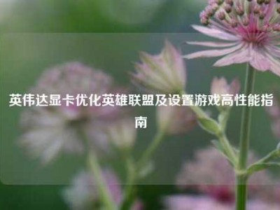 英伟达显卡优化英雄联盟及设置游戏高性能指南