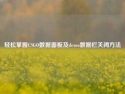 轻松掌握CSGO数据面板及demo数据栏关闭方法