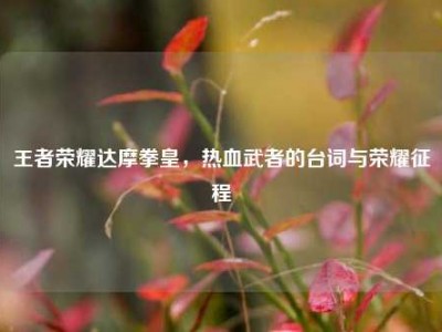 王者荣耀达摩拳皇，热血武者的台词与荣耀征程