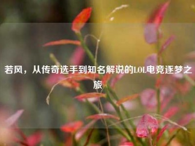 若风，从传奇选手到知名解说的LOL电竞逐梦之旅