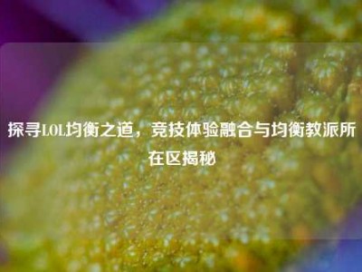 探寻LOL均衡之道，竞技体验融合与均衡教派所在区揭秘