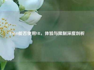 CSGO能否使用VR，体验与限制深度剖析