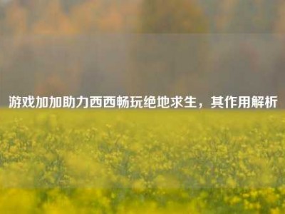 游戏加加助力西西畅玩绝地求生，其作用解析