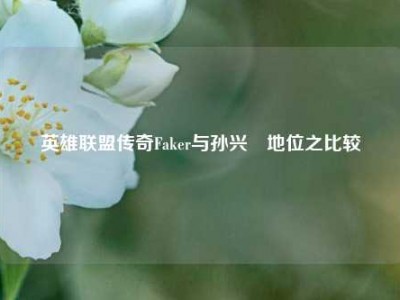 英雄联盟传奇Faker与孙兴慜地位之比较