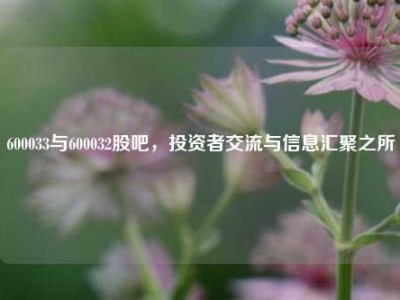 600033与600032股吧，投资者交流与信息汇聚之所